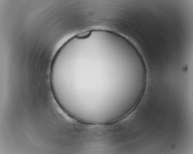 X0000110760902200906150927