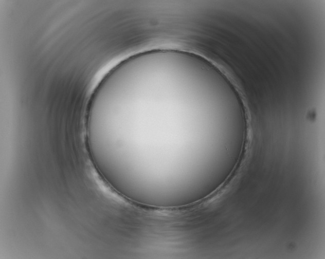 X0000110760904200906150927