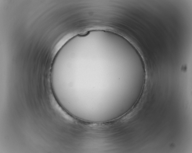 X0000110760906200906150927