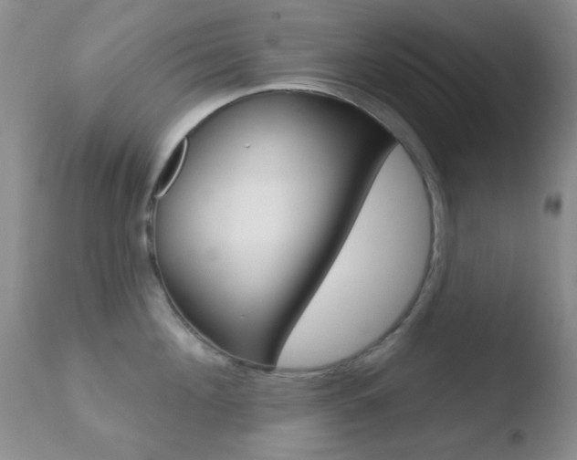 X0000110760908200906150927