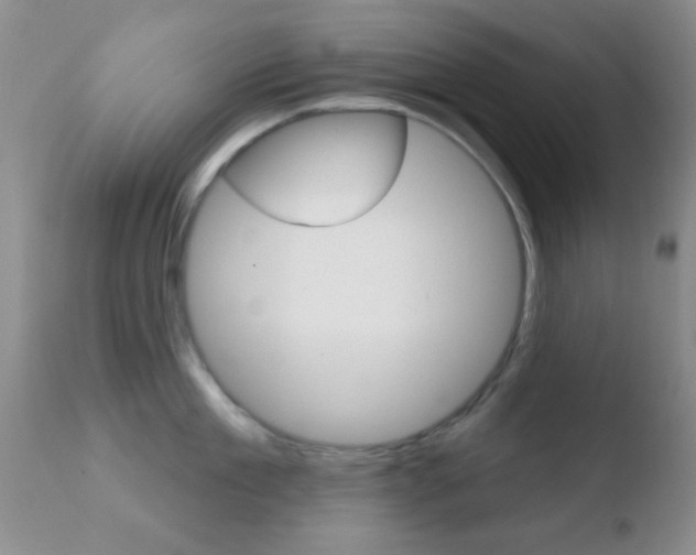 X0000110760909200906150927