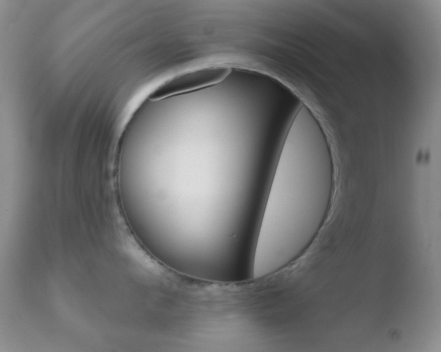 X0000110760912200906150927
