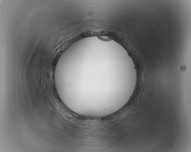 X0000110760914200906150926