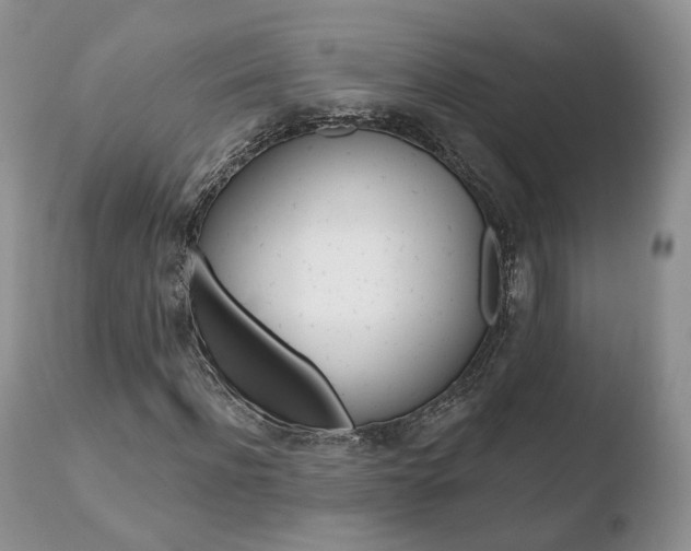 X0000110760916200906150926