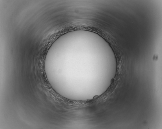 X0000110760917200906150926