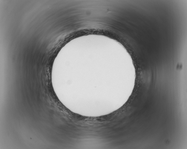 X0000110760918200906150926