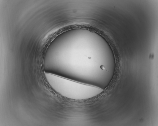 X0000110760920200906150926