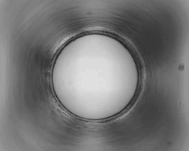 X0000110760921200906150926