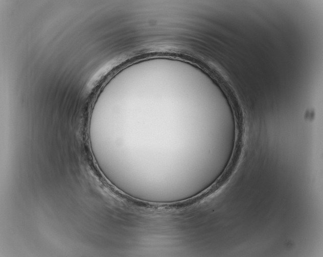 X0000110760922200906150926