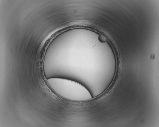 X0000110760923200906150926