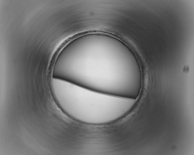 X0000110760924200906150926