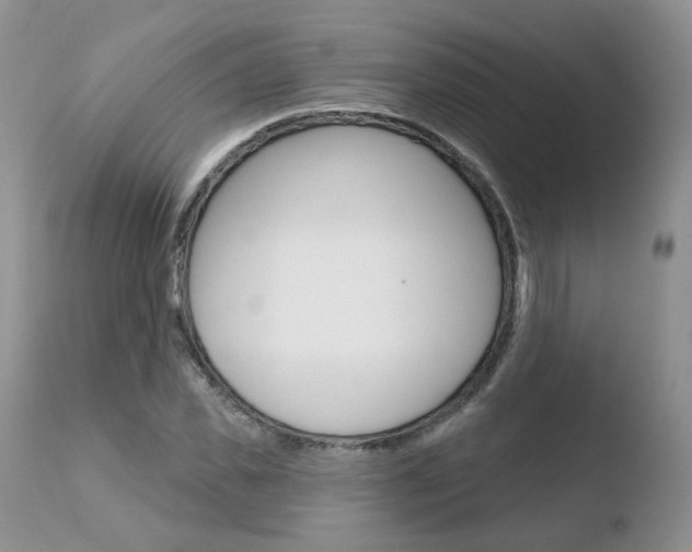 X0000110760925200906150926