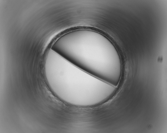 X0000110760926200906150926