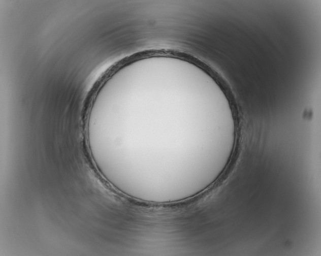 X0000110760927200906150926