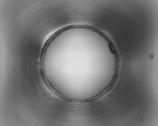 X0000110760928200906150926