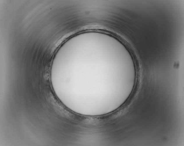 X0000110760929200906150926