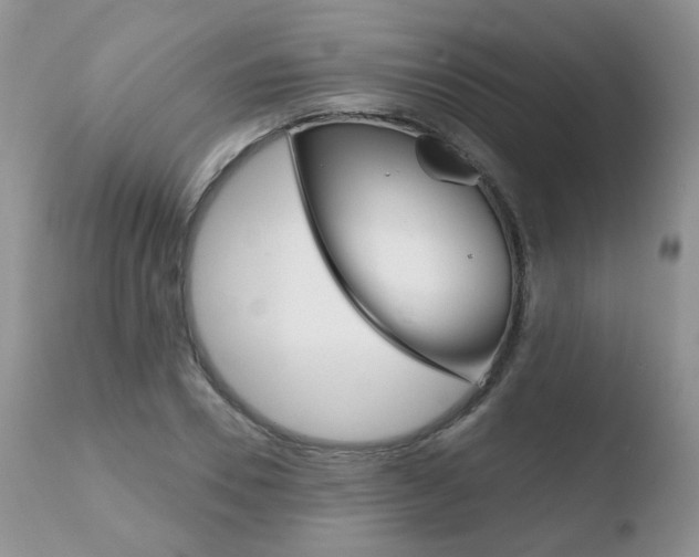 X0000110760930200906150926