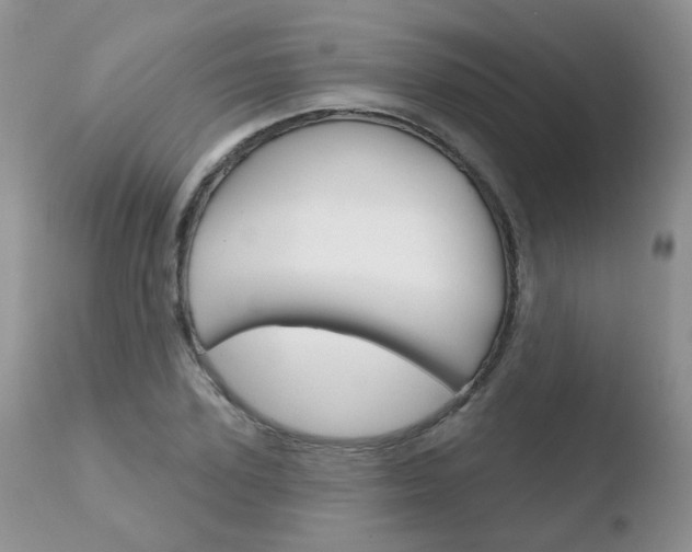 X0000110760931200906150926