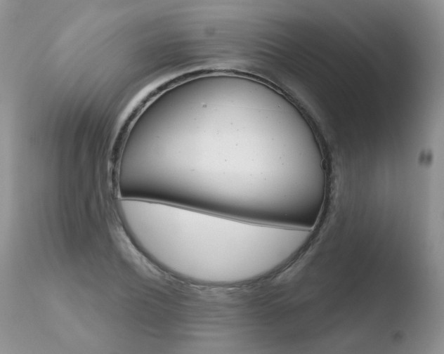 X0000110760932200906150926