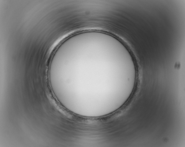 X0000110760933200906150926