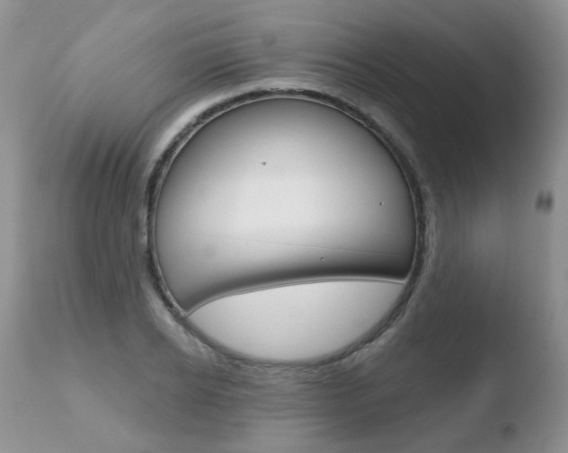 X0000110760934200906150926
