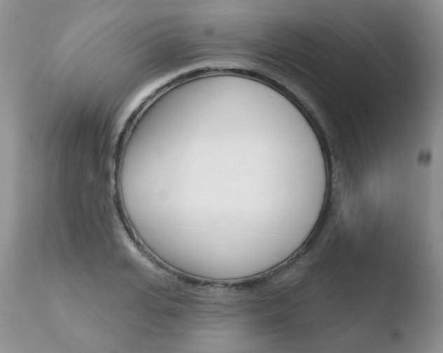 X0000110760935200906150926