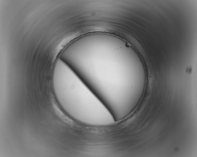 X0000110760938200906150926