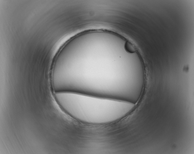 X0000110760943200906150926