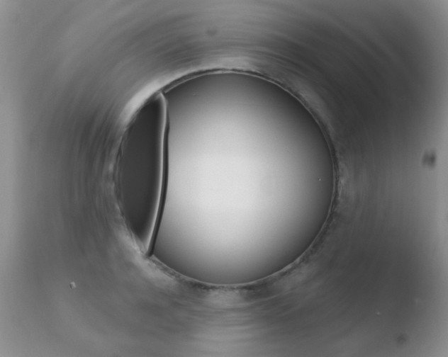 X0000110760944200906150927