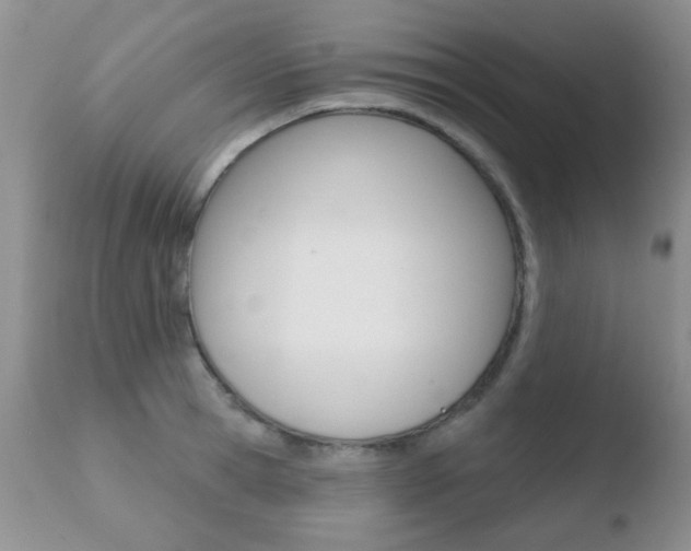 X0000110760945200906150927