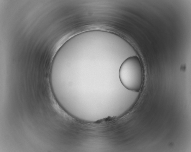 X0000110760946200906150927