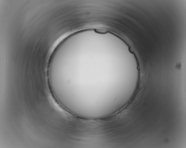 X0000110760947200906150927