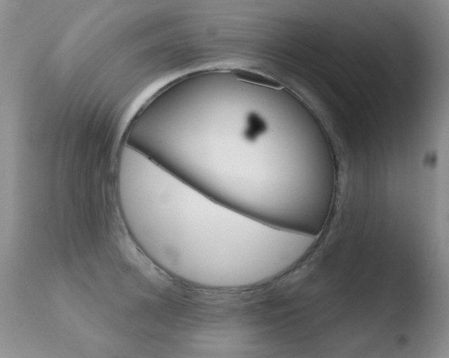 X0000110760948200906150927