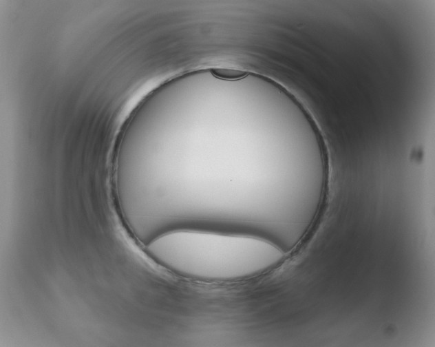 X0000110760949200906150927