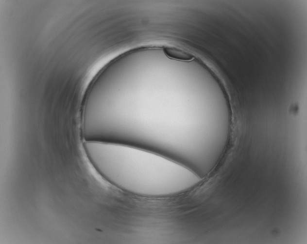 X0000110760951200906150927