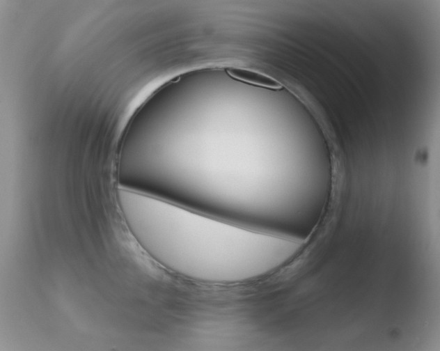 X0000110760956200906150927