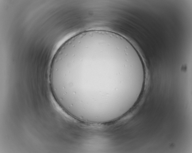 X0000110760957200906150927