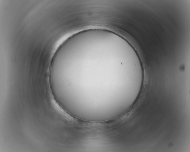 X0000110760958200906150927