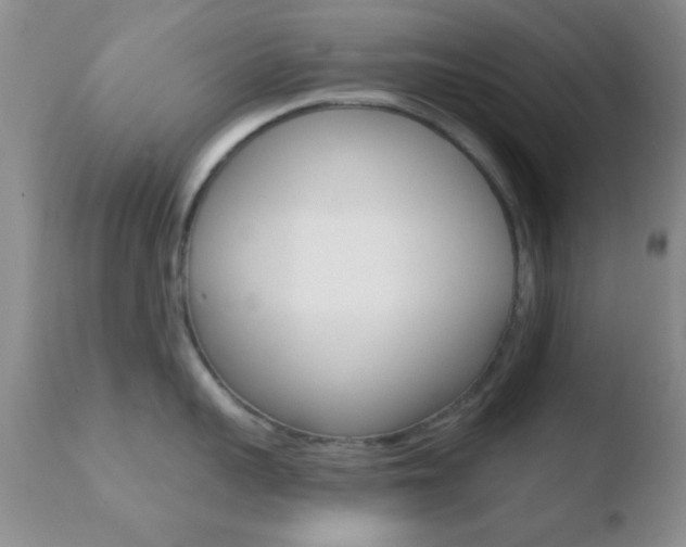 X0000110760959200906150927