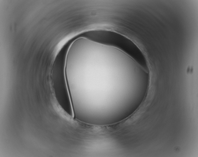 X0000110760960200906150927