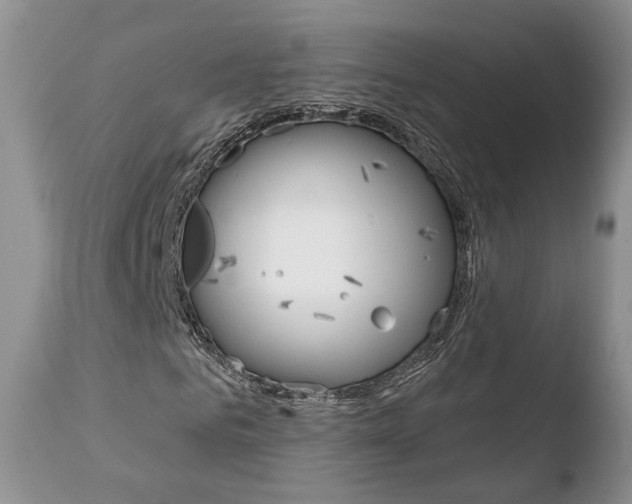 X0000110760961200906150926