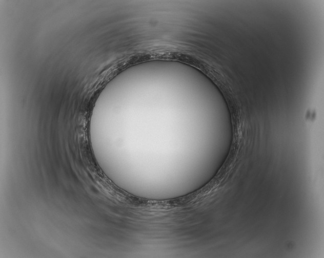 X0000110760964200906150926