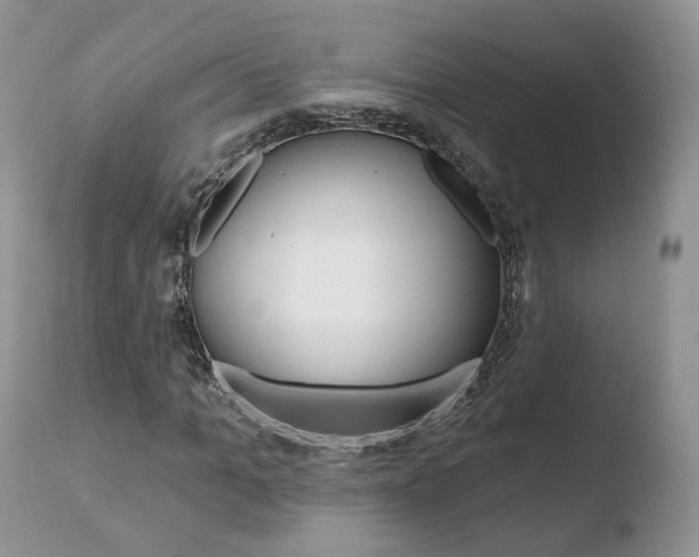 X0000110760965200906150926