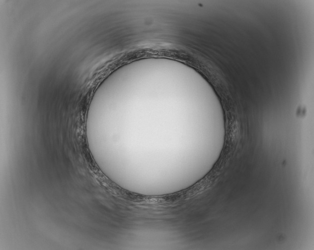 X0000110760966200906150926