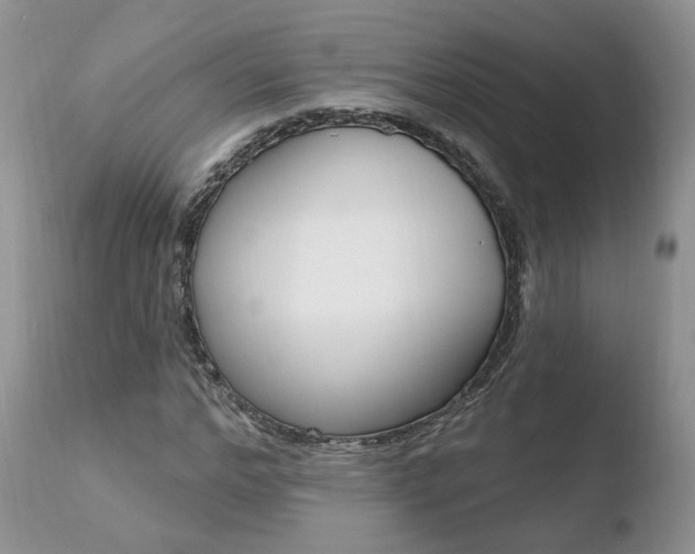 X0000110760968200906150926