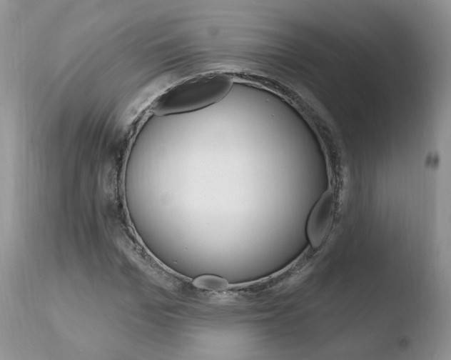 X0000110760969200906150926