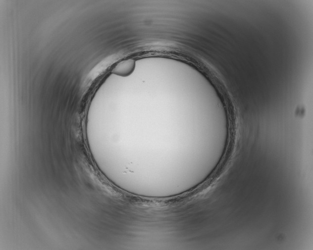 X0000110760970200906150926