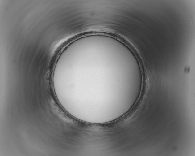 X0000110760971200906150926
