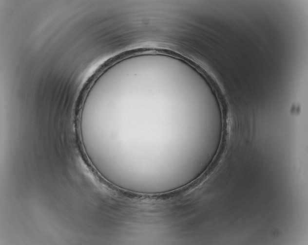 X0000110760972200906150926