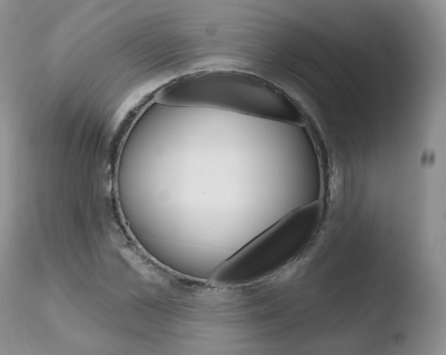 X0000110760973200906150926